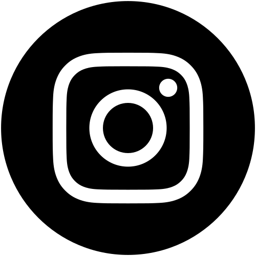 insta icon